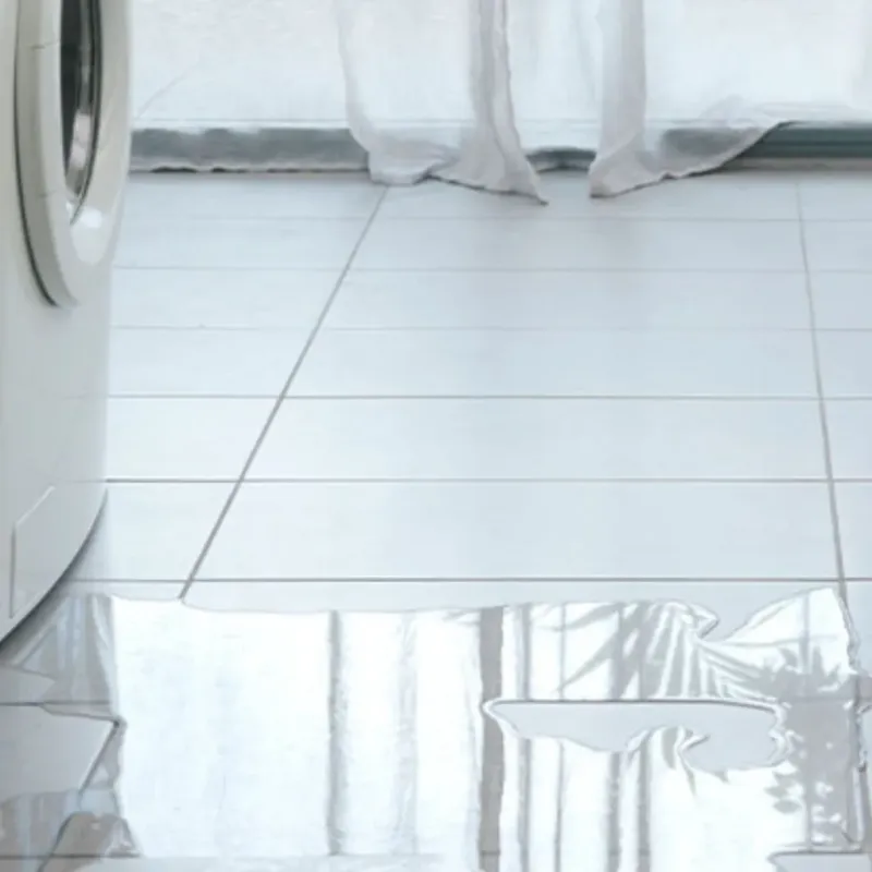 Appliance Leak Cleanup in Oswego, KS