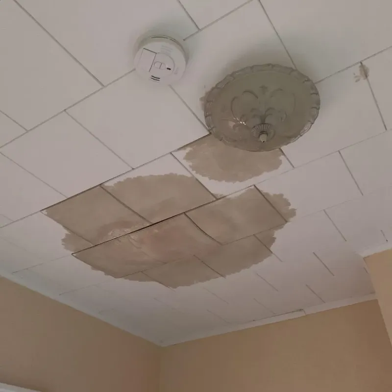 Ceiling Water Damage Repair in Oswego, KS