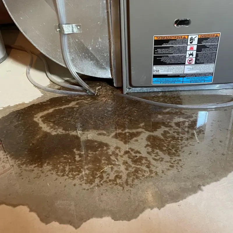 Pipe Burst and Leak Restoration in Oswego, KS
