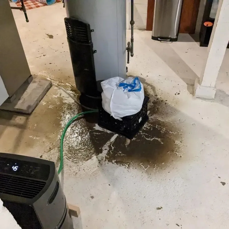 Sewage Backup Cleanup Service in Oswego, KS
